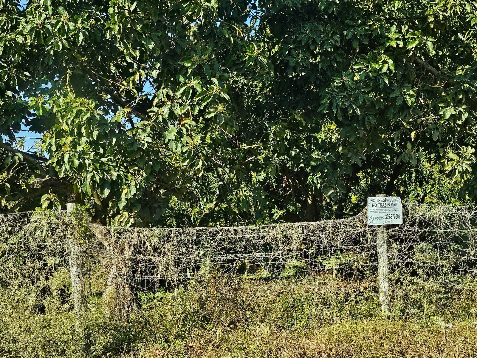 Mweka Agri-Project site