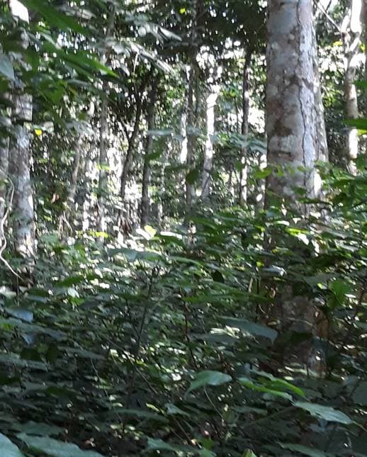 Prediga Group — image 4